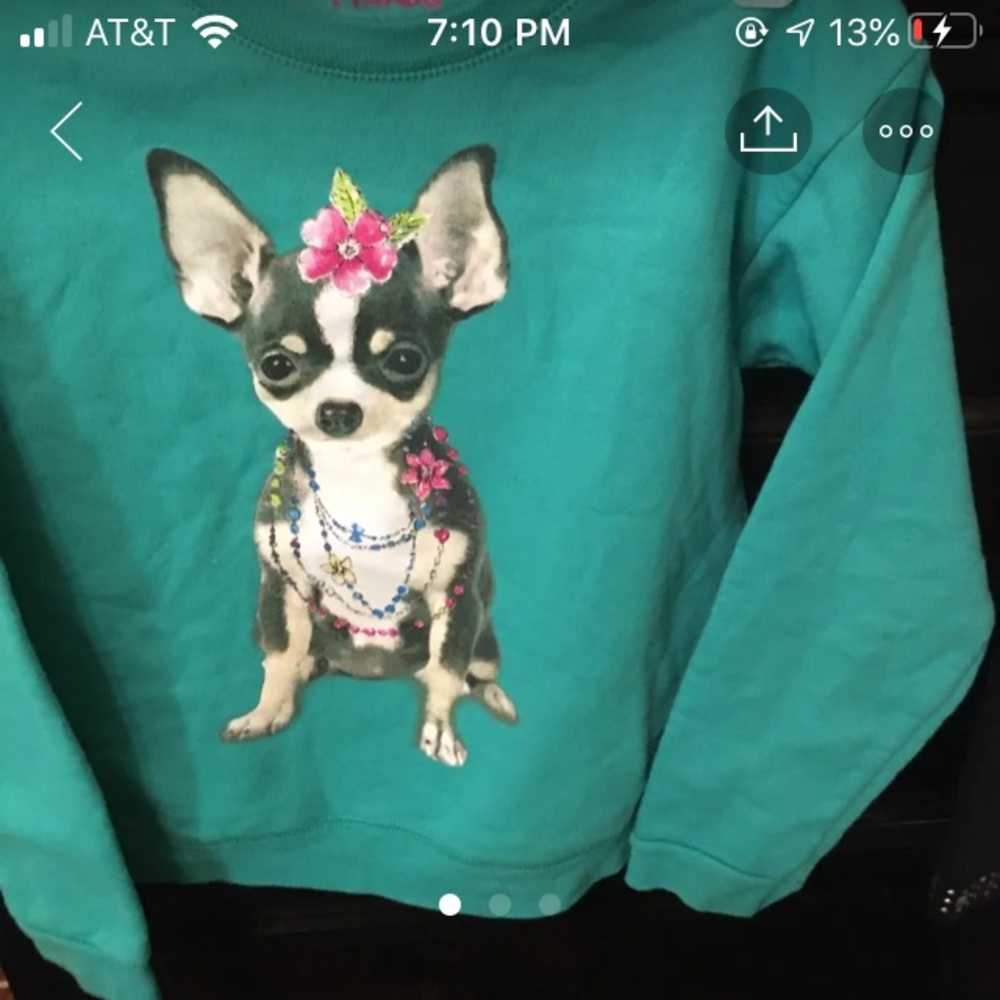 A sweatshirt and a pair of pants